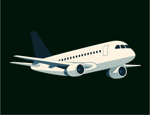 International Travel and Visas